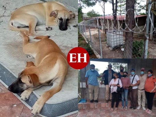 Raudales Pineda explicó que considerando que el perro sigue siendo el mejor amigo del hombre, tuvo la idea de construir este albergue para los 'peluditos' como los ha bautizado.