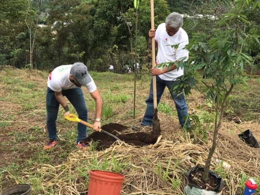 El banco que ve la sostenibilidad como modelo de negocios