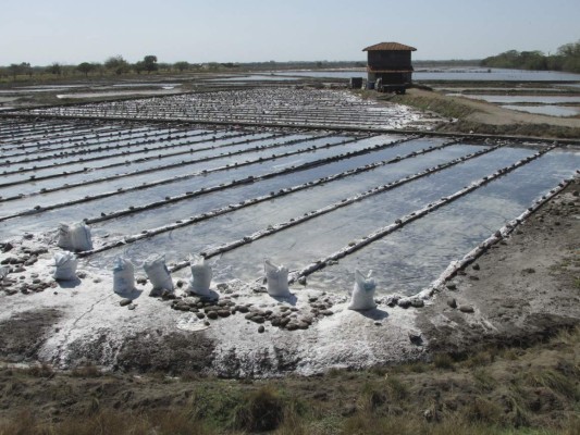 Producción de sal bajará 200 mil quintales este año