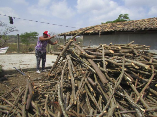 Súper mamás y heroínas de oriente