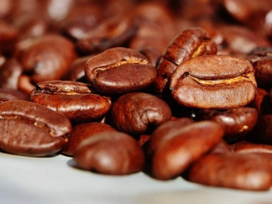 En 15% se recupera precio del café, pero las exportaciones caen 27%