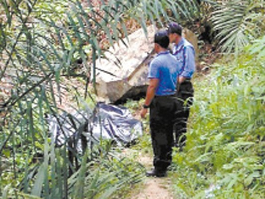 Degollados y con impactos de bala hallan tres cadáveres