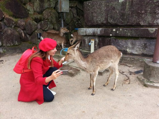 En la tierra de los ocho millones de dioses