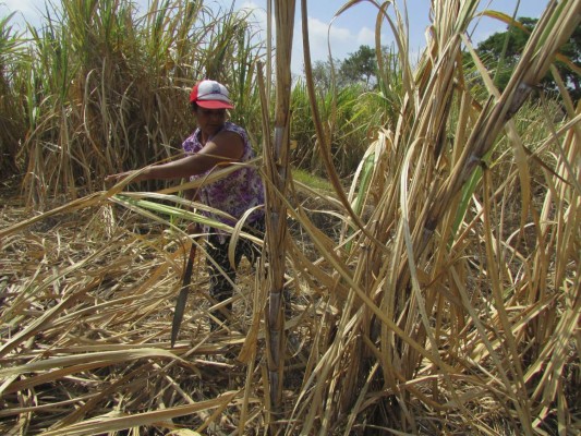 Súper mamás y heroínas de oriente