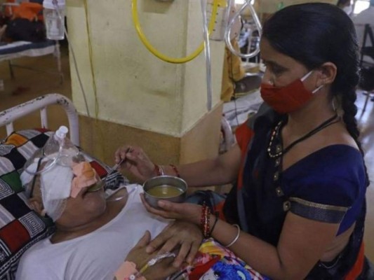 Microbióloga Sandra Montoya: 'Hongo negro no se transmite de persona a persona'