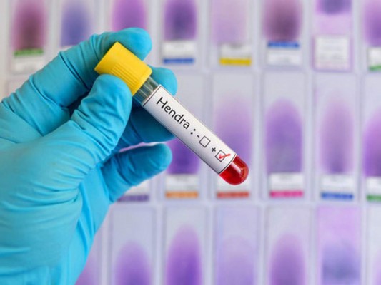 10 datos sobre el hantavirus, enfermedad transmitida por roedores