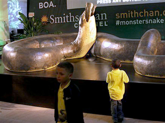 Exhiben réplica de enorme víbora hallada en Colombia