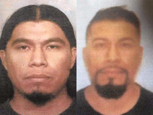 Asesinan a dos agentes de Interpol que buscaban a hombre en México&nbsp;&nbsp;