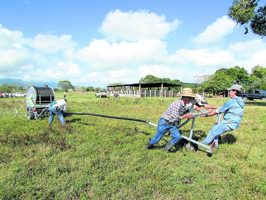Gobierno retrasa proyecto de riego