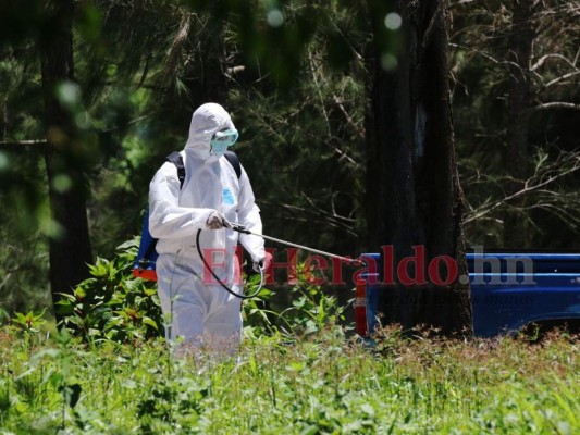 En imágenes: Silencio y hermetismo en entierros durante emergencia por coronavirus