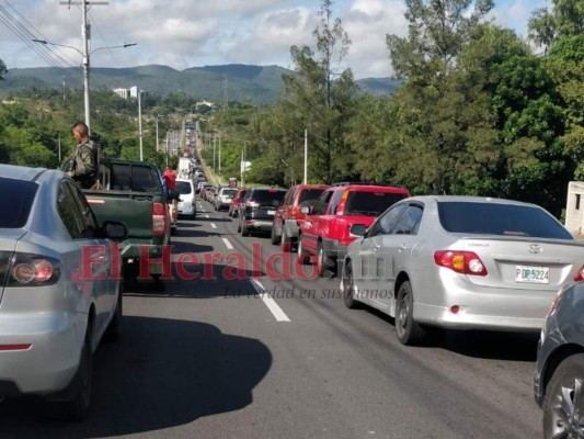 Extienden pago de matrícula vehicular hasta este 1 de septiembre