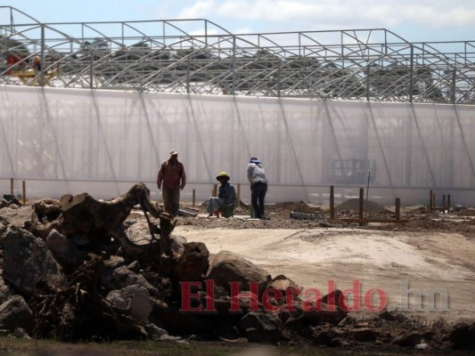 Próspera, Morazán, Orquídea o Agroalpha ¿Qué Zede tomará más territorio de Honduras?