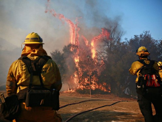 Al menos 31 muertos por incendios en California; los bomberos luchan por controlar las llamas&nbsp;&nbsp;