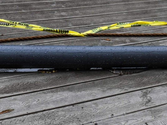 Bajo los escombros de Laura, pobladores de Luisiana esperan la embestida de Delta (Fotos)