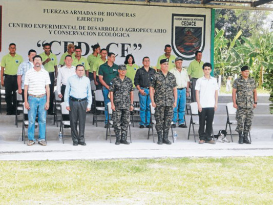 Forman a soldados forestales en Comayagua