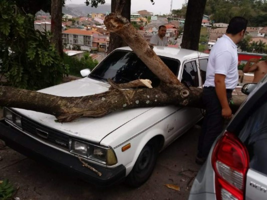 Fuertes ráfagas de viento causan daños en la capital de Honduras