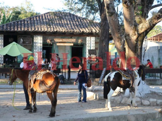 FOTOS: La ruta del viento, tres municipios para recorrer en familia en Francisco Morazán