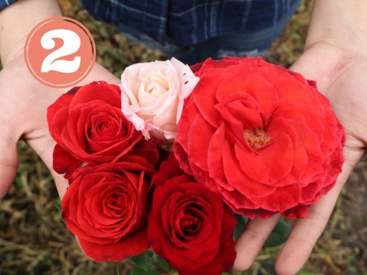 FOTOS: 10 cosas que encontrarás en Yuscarán y no sabías