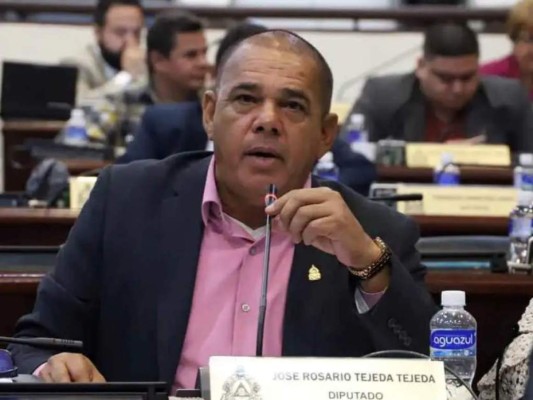 Rostros de la junta directiva paralela del Congreso Nacional (FOTOS)