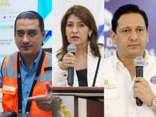 Marco Bográn, Alba Consuelo Flores y Gabriel Rubí entre los funcionarios que incumplieron la Ley.