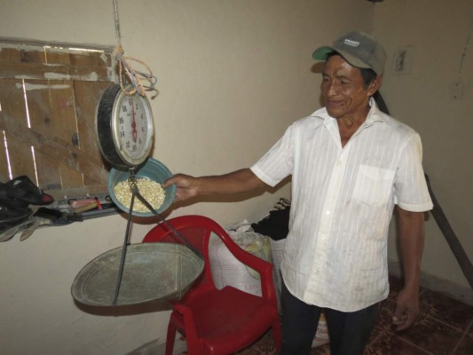 Sequía deja sin alimentos a 1,600 familias del sur de Guajiquiro