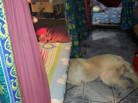 Con aire acondicionado, plasmas y hasta cerámica, así viven algunos reclusos en centros penales