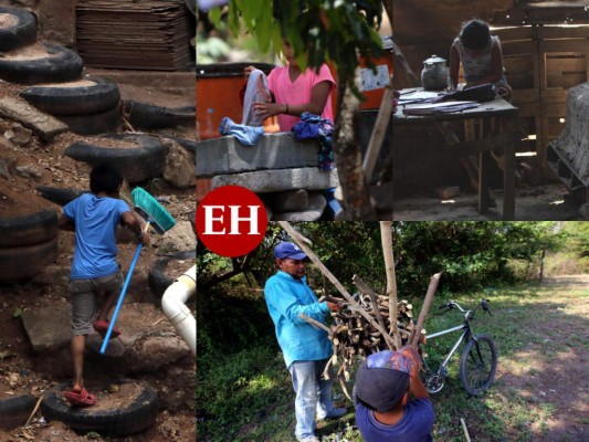 Venden leña, cuidan a sus hermanos o ayudan en casa: los niños que dejaron las escuelas por el covid