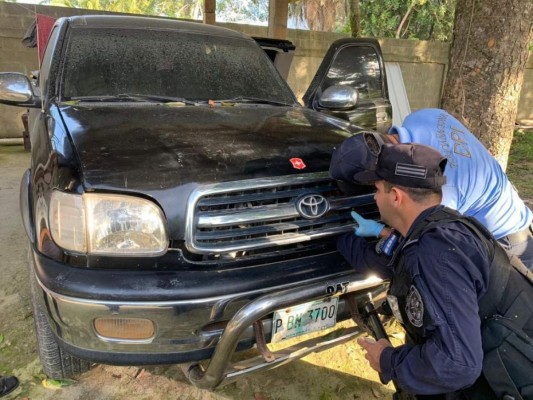 Operación Independencia: Hallan armas y especies en peligro de extinción