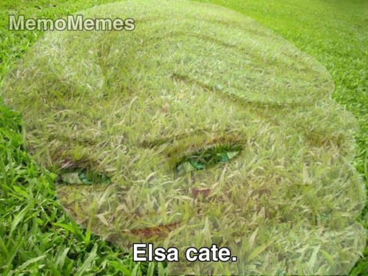 Los más divertidos memes de Elsa de Frozen