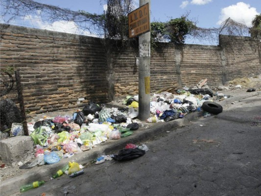 El 42 por ciento de los capitalinos no respeta el horario del tren de aseo