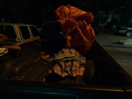 Muere persona por caída de árbol en Honduras