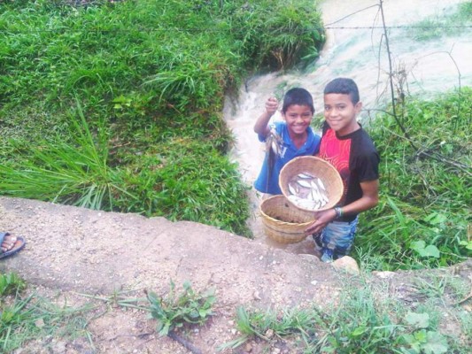Honduras: La lluvia de peces, un regalo del cielo para el pueblo de Yoro