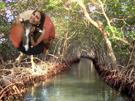 Cuatro embarcaciones privadas buscan a Angie Peña en los manglares de Roatán  