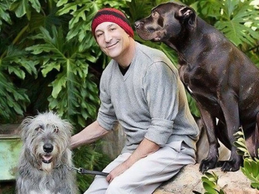 Creador de Los Simpson dona fortuna antes de morir