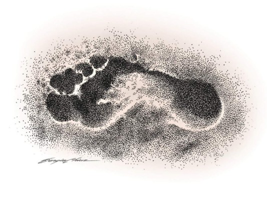 Selección de Grandes Crímenes: Una huella muy especial