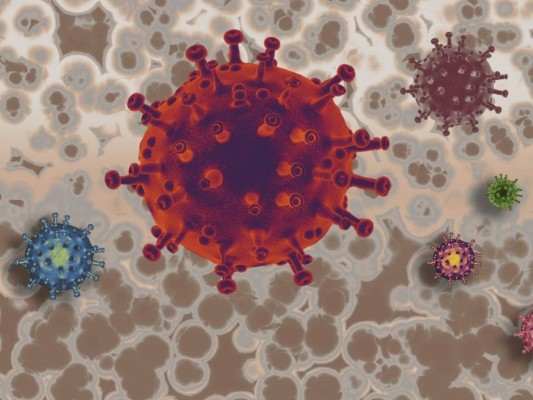 ¿Por qué los anticuerpos no son la única defensa contra ómicron?