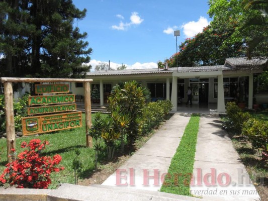 Laboratorios de investigación agroforestal son pioneros en CA