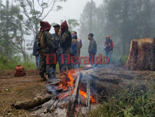 FOTOS: Así fue el rescate de los restos de Hilda Hernández y las otras 5 víctimas