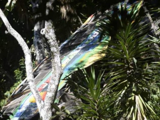 Siete muertos y 40 heridos deja accidente de autobús en El Salvador