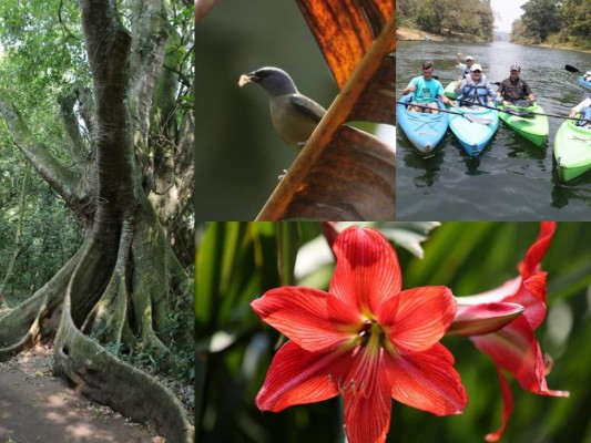Fotos: Así es la belleza natural del Parque Arqueológico Los Naranjos