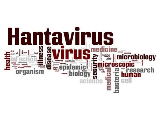10 datos sobre el hantavirus, enfermedad transmitida por roedores