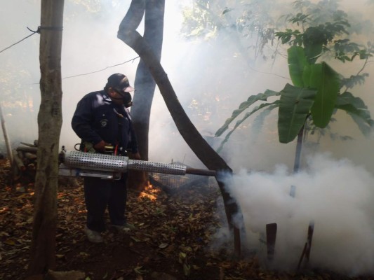 Salud realiza segundo ciclo de fumigación en la capital