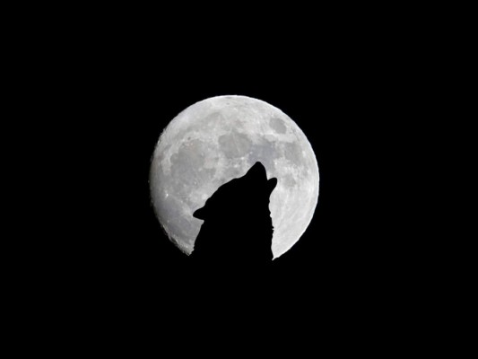 ¿Cuándo se podrá ver la primera Luna del Lobo en 2022?&nbsp;&nbsp;