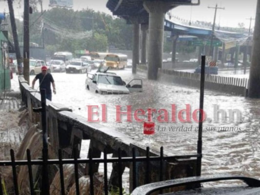 Calles anegadas y árboles caídos en la capital luego de 30 minutos de lluvia