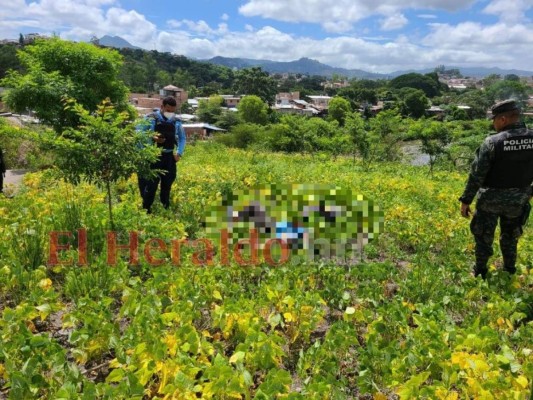 Matan a dos personas en colonia Nora de Melgar de la capital