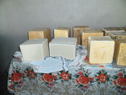 Ganadería sostiene economía de San Antonio del Norte