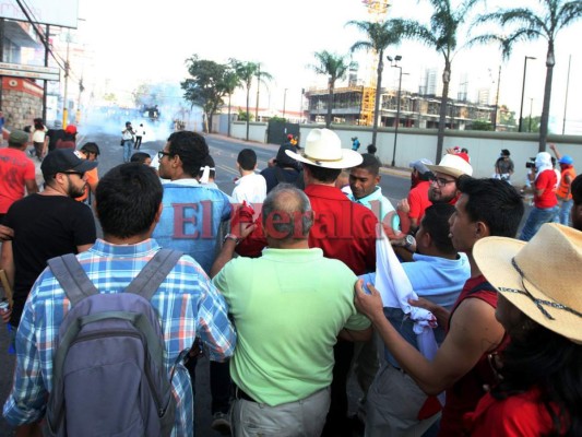 Imágenes de la 'gaseada” a Manuel Zelaya durante marcha de la Alianza de Oposición