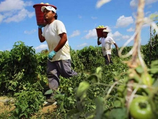 Cancillería reporta 2,070 catrachos reinscritos en red consular en Estados Unidos