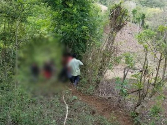 Asesinan a tres personas mientras sembraban en una milpa en Macuelizo, Santa Bárbara