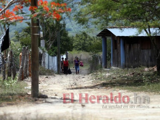 Nadie lo sabía: Sorpresa por ZEDE en San Marcos de Colón
